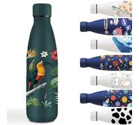 Botella Agua Acero Inoxidable 500ml, Cantimplora Acero Inoxidable, Fácil de Transportar, Botella Agua Personalizada con Estrella de Pájaro, a Prueba de Fugas, para la Escuela, Oficina, Verde Oscuro