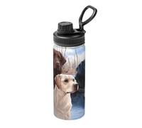 Botella de agua deportiva con estampado de Labrador Retrievers, botella de agua portátil, adecuada para ciclismo, senderismo y entrenamiento de gimnasio.