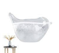 Botella De Pronóstico Del Tiempo De Storm Glass - Barómetro De Globos De Nieve, Predictor De Tormentas De Vidrio Meteorológico | Predictor Del Tiempo En Forma De Pájaro Para Decoración