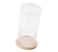 Botella hidropónica de escritorio para plantas, botellas de vidrio para oficina, escritorio, estantería, decoración purificadora de aire, escritorio de oficina, terrario