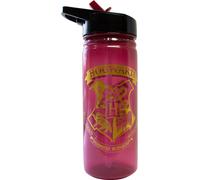 Botella Hogwarts Harry Potter 600ml - WARNER BROS