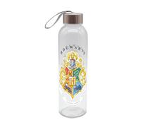 Botella HP Watercolor World de 500 ml, cristal