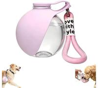 Botella para perros para viajes, botella transparente de 285 ml, con cuenco de silicona plegable, a prueba de fugas, sin BPA, retorno de agua, para camping y viajes, color rosa (B)