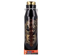 Botella reutilizable térmica de acero inoxidable de 580 ml de Dragon Ball