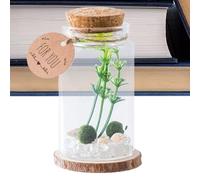 Botellas De Vidrio Mini Con Corcho - Adorno de Botellas para Escritorio,Frasco Decorativo con Tapones de Madera Artesanías Miniatura Ornamento Estiloso Decoración para Cocina Deseos para Amigos Famili