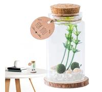 Botellas Miniatura con Tapón de Corcho - Adorno de Botellas para Escritorio | Frasco Decorativo con Tapones de Madera Artesanías Miniatura Ornamento Estiloso Decoración para Cocina Deseos para Amigos