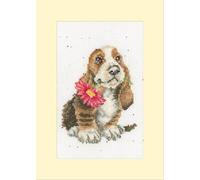 Bothy Threads Kit de tarjetas de punto de cruz con texto en inglés "especially for you"