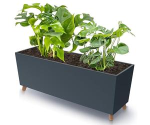 botle Jardinera con patas antracita 77 x 30 cm, estructura lisa con inserto para plantas, plástico, tamaño grande, con 2 estabilizadores, resistente a los rayos UV, para interiores y exteriores