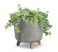 botle Macetero con patas D 30 cm gris de plástico macetas con inserto de aspecto de hormigón, árbol de dinero, cactus, árbol de goma