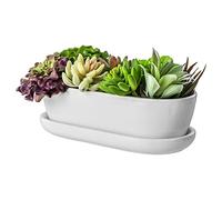 botle Macetero de cerámica, cuenco para cactus, posavasos, cactus, bonsái, suculentas (ovalado, blanco)