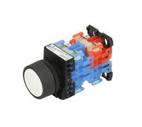 Botón de dispositivo de elevación EVERT ZL320401019