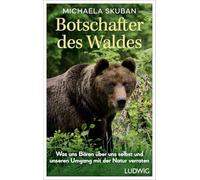 Botschafter des Waldes: Was uns Bären über uns selbst und unseren Umgang mit der Natur verraten