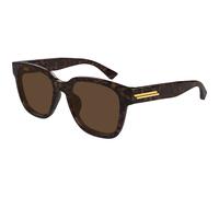 Bottega Veneta Hombre Bottega Veneta BV1461SK 002 Gafas de sol Acetato la Habana Marrón Cuadrada