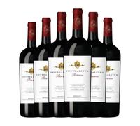 Botter Carlo Conte di Lucca Sangiovese Brindisi Reserva 75 cl Vino tinto (Caja de 6 Botellas de 75 cl)