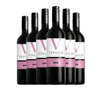 Botter Carlo Vivolo di Sasso Merlot Veneto 75 cl Vino tinto (Caja de 6 Botellas de 75 cl)