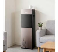 Bottom Loading Water Cooler Dispenser, fría y Interior, construcción Duradera de Acero Inoxidable, Revestimiento Antimicrobiano, para oficinas guarderías y gimnasios,002,Hot and Cold Types