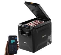 BougeRV ASPEN S 50 Kompressor Kühlbox mit Griff Auto Kühlbox 12 V 230 V mit Integrierter Korb, Gefrierbox Camping Kühlschrank Elektrisch IPX4 wasserdicht für Reisen Boot Angeln -20 ℃