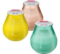 Bougie parfumée citronelle, 1 pièce - Marque DM Allemagne - Compatible avec profissimo - Duftkerze Citronella, 1 St