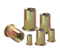 BOUMVID 100 Piezas M3 Tuercas Remachables de Acero al Carbono Galvanizadas, Remaches Roscados para Metal Plástico y Muebles Madera, Galvanizar Roscadas Tuercas Remachables de Cabeza Plana