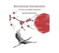 Boundless Awakening: The Heart of Buddhist Meditation