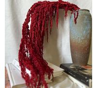Bouquet de Flores secas, 24-31.5 Colgante Amaranthus seco, Flores de vides Naturales realistas, Plantas Reutilizables para la Pared del Ramo de Bodas Decoración del hogar, Rojo Oscuro, Flor, un