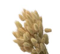 Bouquet de Pluma de Liebre - Ramo de Lagurus Seco para Jarrones Elegantes