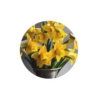 Bouquet Of Daffodils - Juego de tarjetas de ambientador redondas para coche, aroma a lavanda, 10/24 piezas