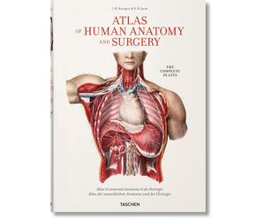 Bourgery. Atlas of Human Anatomy and Surgery
