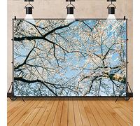 Bovlleetd 150x120cm Cerezo Floreciente Fondo Fotografía - Primavera Romántico Flor Bosque Azul Cielo Telón De Fondo - Paisaje Natural Blanco
