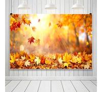 Bovlleetd 2.5x1.8m Telón de Fondo de Hojas de Arce de Otoño con Arce Cayendo y Luz Solar, Escena de Suelo para Friendsgiving, Fondo Fotográfico para Fotos Familiares y de Niños, Decoración de Fiestas