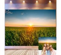 Bovlleetd 6x3m Fondo de Campo al Atardecer Hierba iluminada por la Hora Dorada, vasta Pradera Verde y Cielo Claro, Tema de Naturaleza Rural Serena, Accesorios de Estudio fotográfico