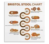 Bowel Health Reference Chart Stool Guide Poster for Gastroenterology Office Patient Education Bathroom Wall(Framed,08x12inch(20x30cm))
