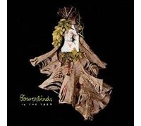 Bowerbirds - In the Yard / Always an Ear to Bend