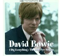 Bowie,David - I Dig Everything [Vinilo]