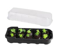 Box De Certificación Reutilizable - 10 Células Mini Plantado De para Cáscara | Grow Hood Set Transparentemente Estable | Germinación De Semillas Desde El Principio | Firramiento De Plantas Pa