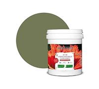 BOX DECO COULEURS Pintura natural ecológica interior exterior con aspecto satinado Natura - 1L, verde caqui