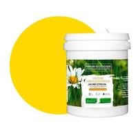 BOX DECO COULEURS Pintura natural ecológica interior exterior terciopelo Natura - 1L, amarillo limón
