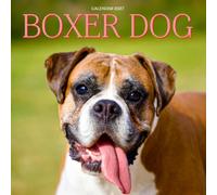 Boxer Dog Calendar 2027: Playful Dogs and Home Life