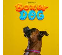 Boxer Dog Calendar 2027: Playful Faces and Faithful Friends