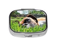 Boxer Dogs - Pastillero con 2 compartimentos, organizador portátil