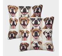 Boxer perro rostros dibujos animados Ilustración Estilo Fundas De Cojín Del Sofá Juego De 2 Available All Seasons Fundas De Almohada Decorativos Cuadrado Throw Cojín De Estar Dormitorio 40x40cm