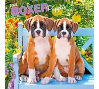 Boxer Puppies 2027 12 X 24 Inch (Hanging) Monthly Square Wall Calendar Plastic-Free: Original BrownTrout-Kalender [Mehrsprachig] [Kalender]