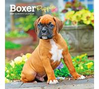 Boxer Puppies 2027 7 X 14 Inch (Hanging) Monthly Mini Wall Calendar