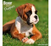 Boxer Puppies SS Wall