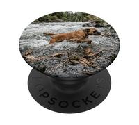 Boxer River Crossing Forest Stream Escena de acción PopSockets PopGrip Adhesivo