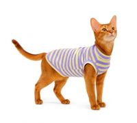 BOXIZ Chaleco de gato para gatos, traje de gato para todas las estaciones, a rayas, morado, talla M