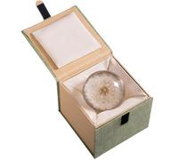 boxoon Esfera de cristal de diente de león con flor preservada real, bola de cristal de 2.4 pulgadas, pisapapeles de escritorio, decoración residencial, regalo