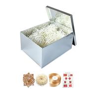 BoxSkivra Caja de regalo grande de 16 x 12 x 8 pulgadas, caja de regalo plateada con tapa para Navidad, aniversario, cumpleaños, cajas de lujo con papel arrugado, cinta, calcomanías del alfabeto