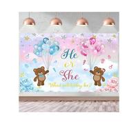 Boy or Girl Banner Bear Theme He or She Gender Reveal Backdrop Blue Pink Gender Reveal Photography Background What Will Baby Be Baby Shower Party Deco