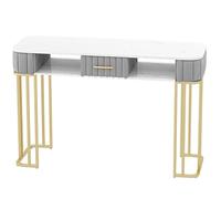 BOYITES Mesa De Manicura Profesional Moderna Mesa De Manicura, Estación De Trabajo De Uñas De Arte Independiente Para Manicurista, Escritorio Técnico De Uñas Para Salón De Belleza,120cm